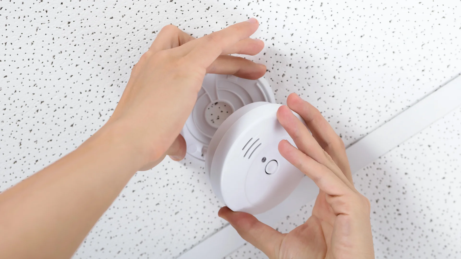 Électricien professionnel en intervention à Orgerus